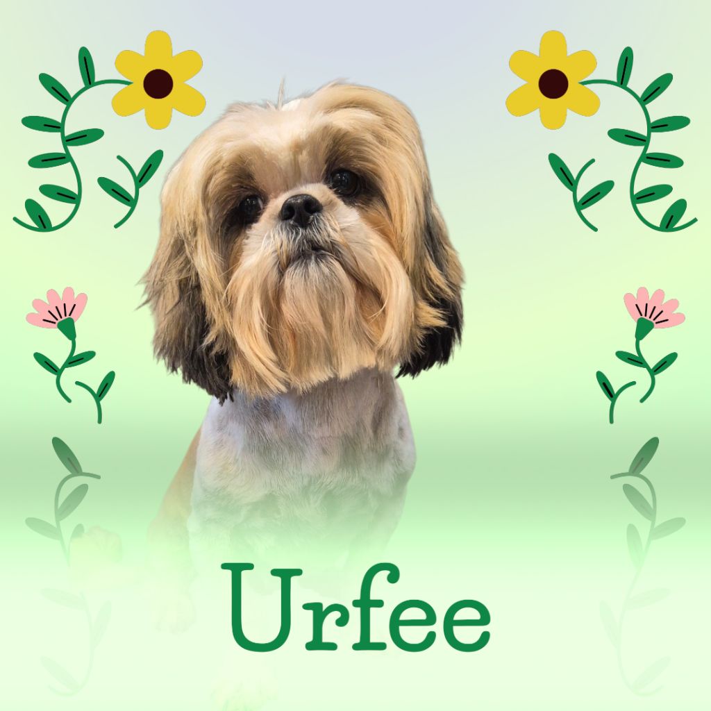 Publication : de la plaine du Jaelma 