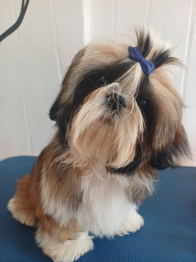 Publication : Du Village De Raimbourg 