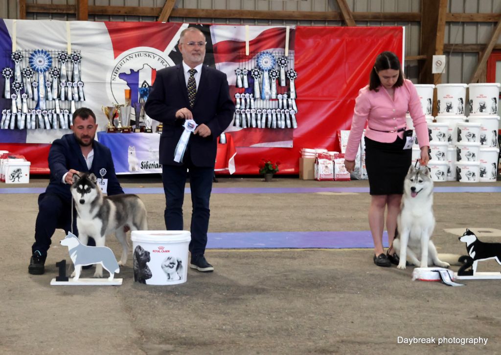 Publication : de Daybreak Northern 