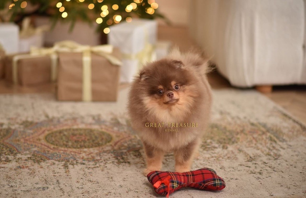 Publication : Legend'of Ki Breizh 