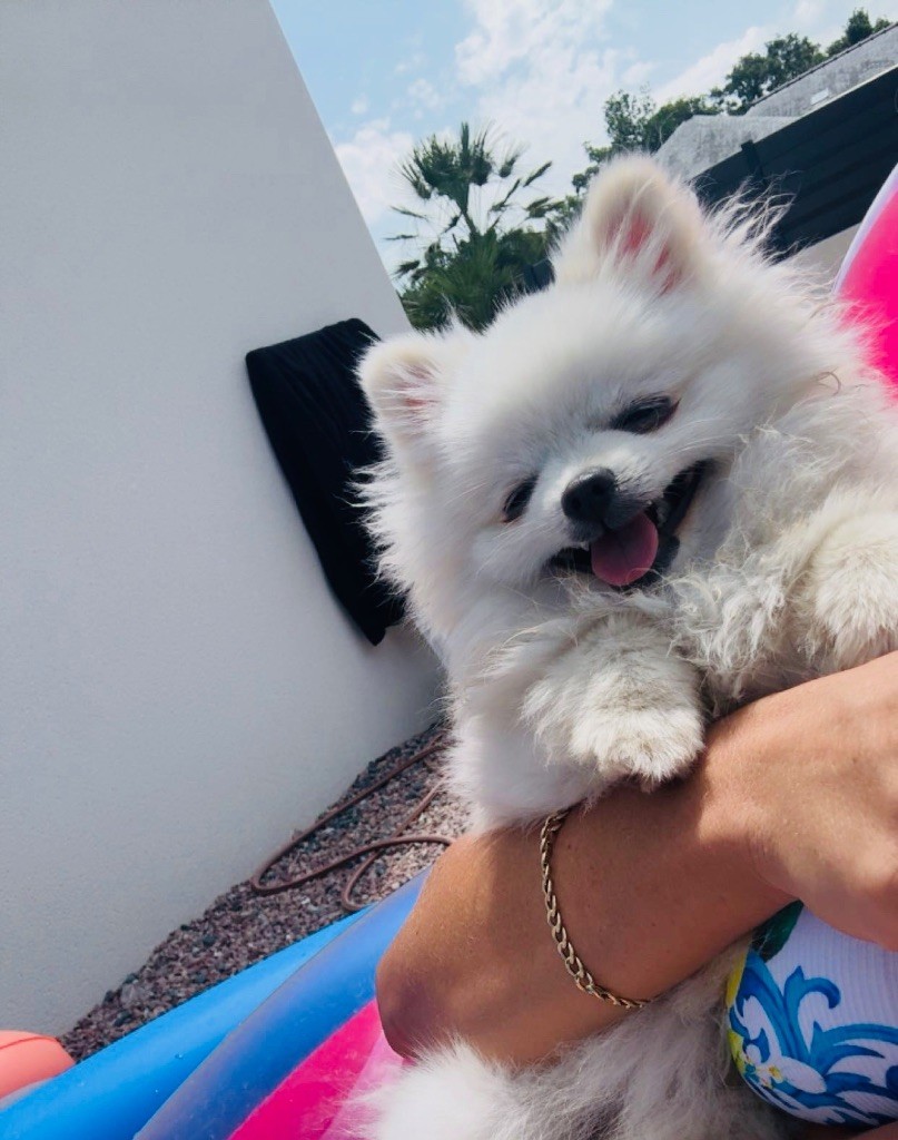 Publication : De L’Arche D’Anneso 