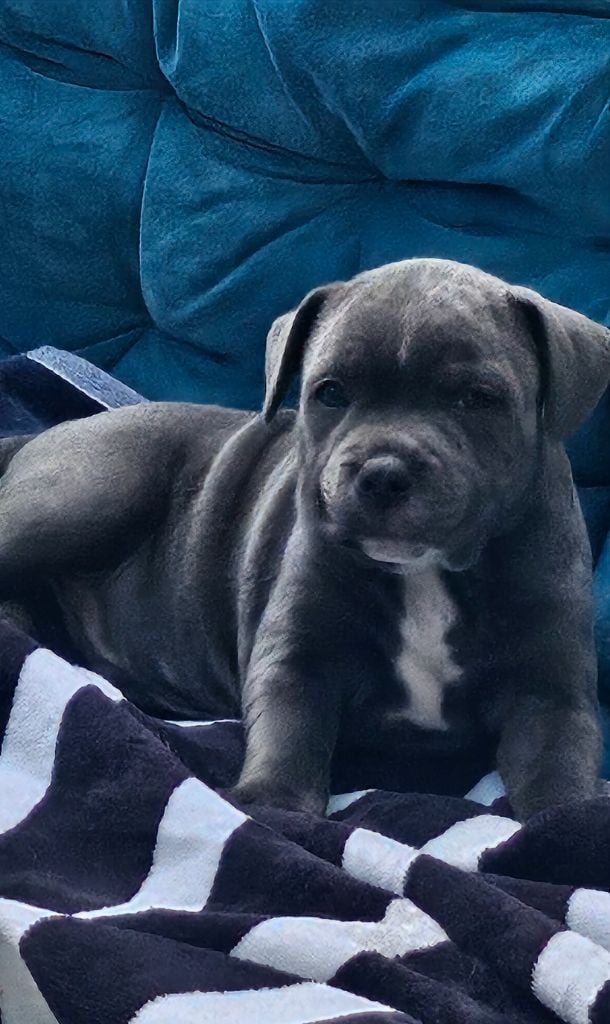 Publication : du domaine des Alunts