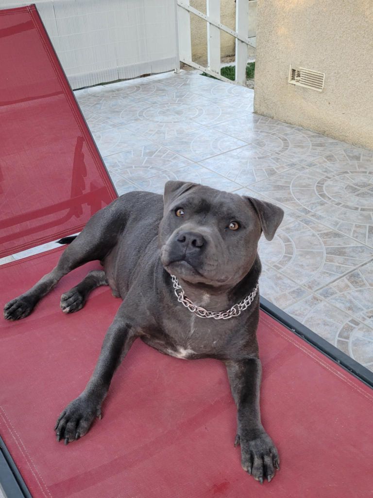 Publication : Des Plaines D'Alderaan Auteur : stephanie MORLAIS PARTEL