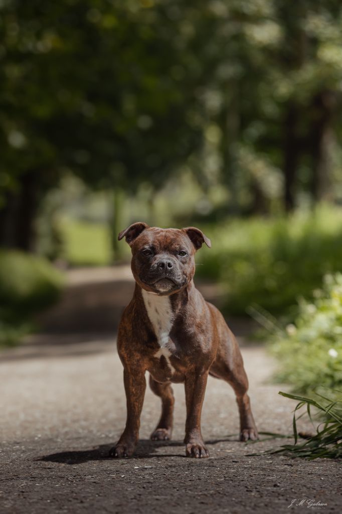 Publication : Empire Of The Red Angel