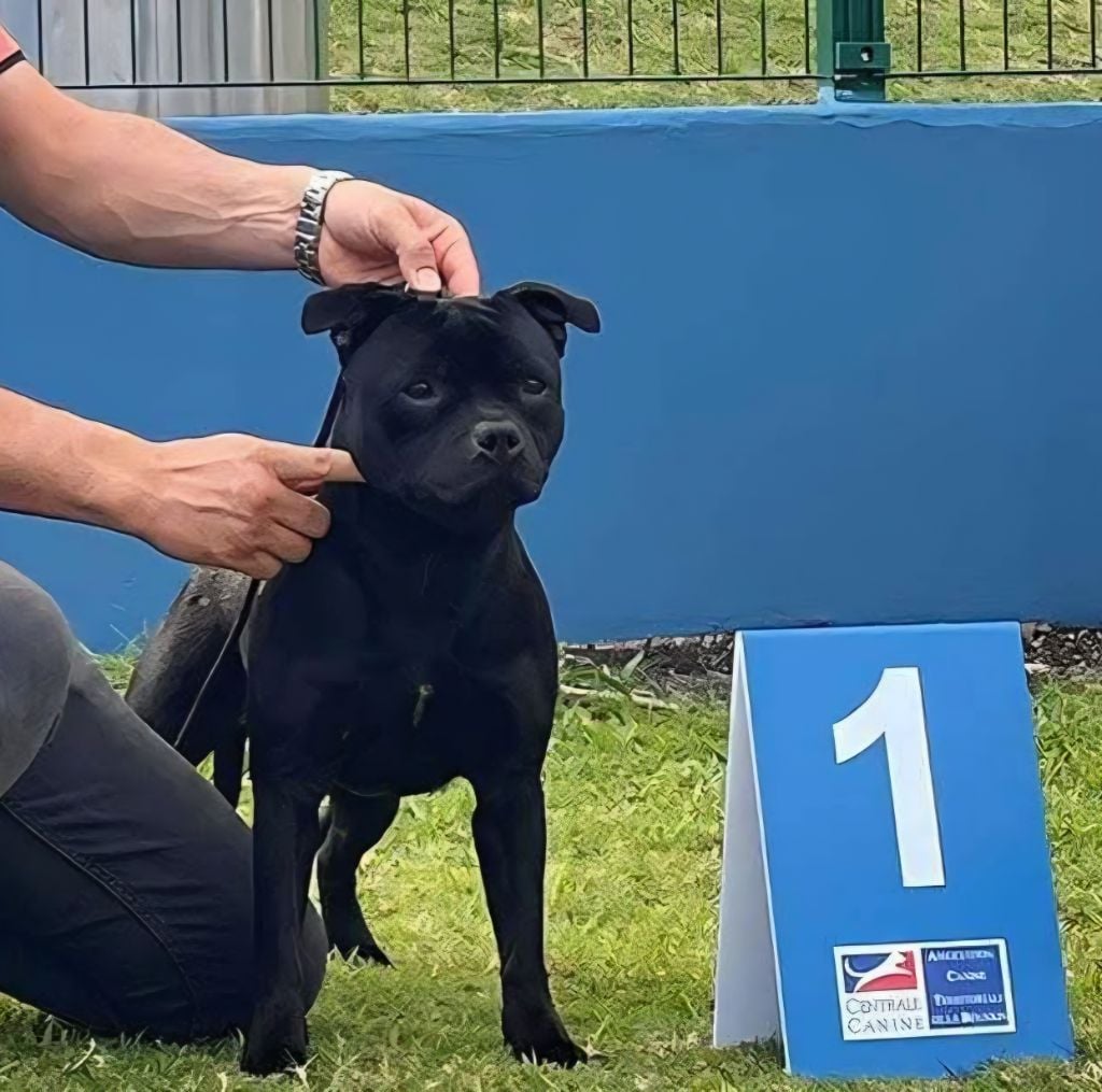 Publication : du Domaine d'Ishtar 