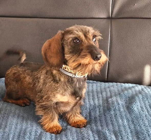 Publication : de kerdero 