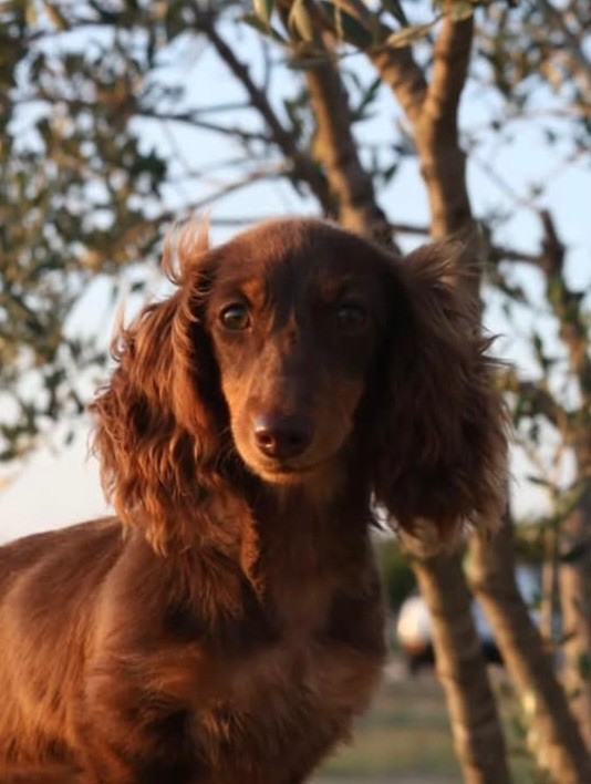 Publication : de la Victoire d'Urtie