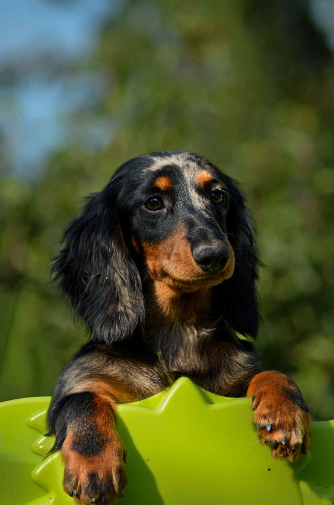 Publication : Of Moonlight Blue 