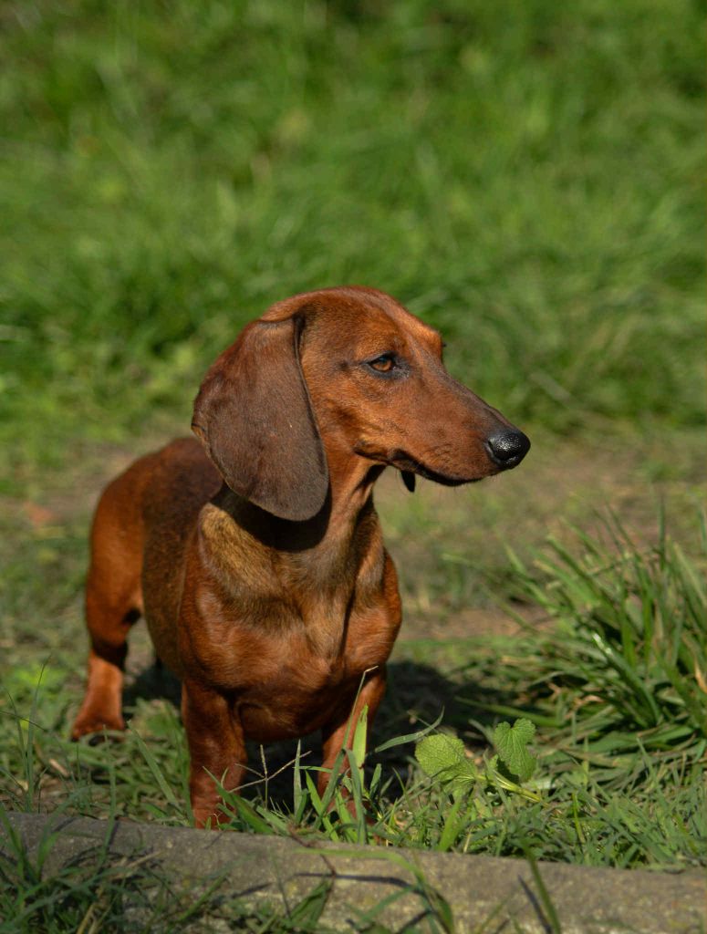 Publication : Of Moonlight Blue 