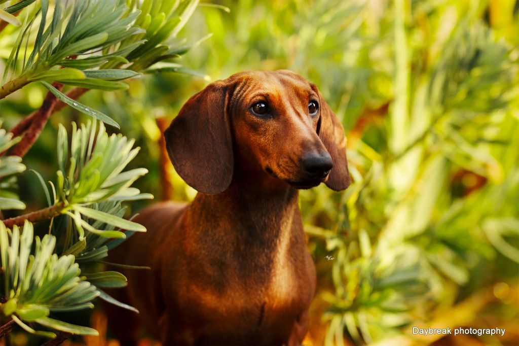 Publication : des Rivages du Lemboulas