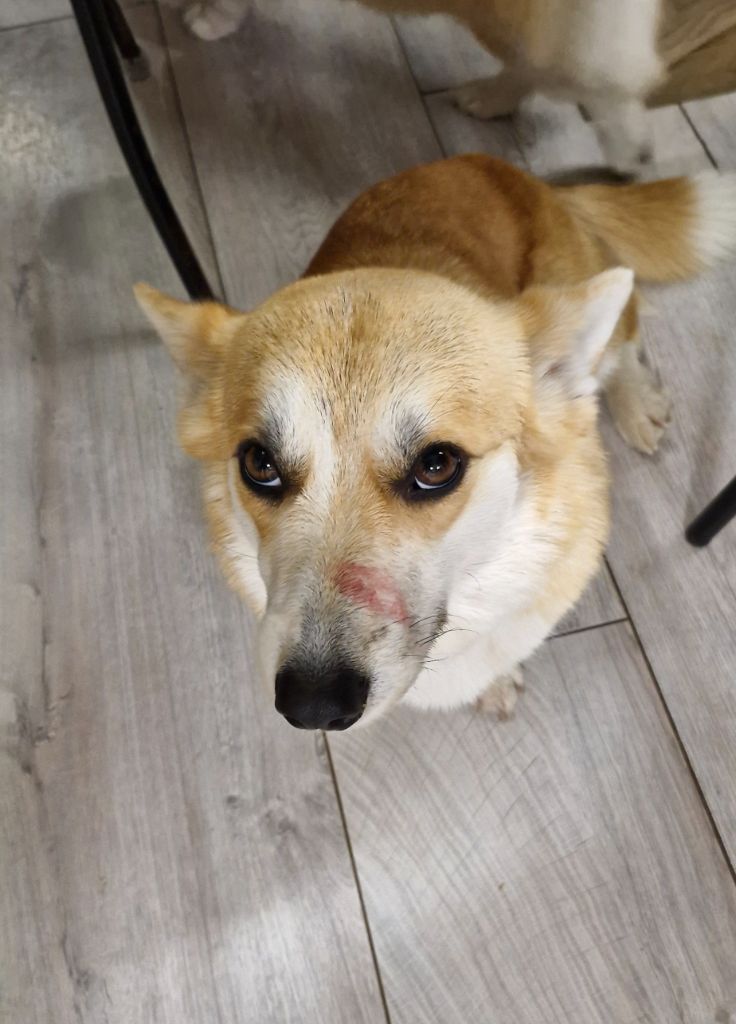 Publication : Wonders of the World