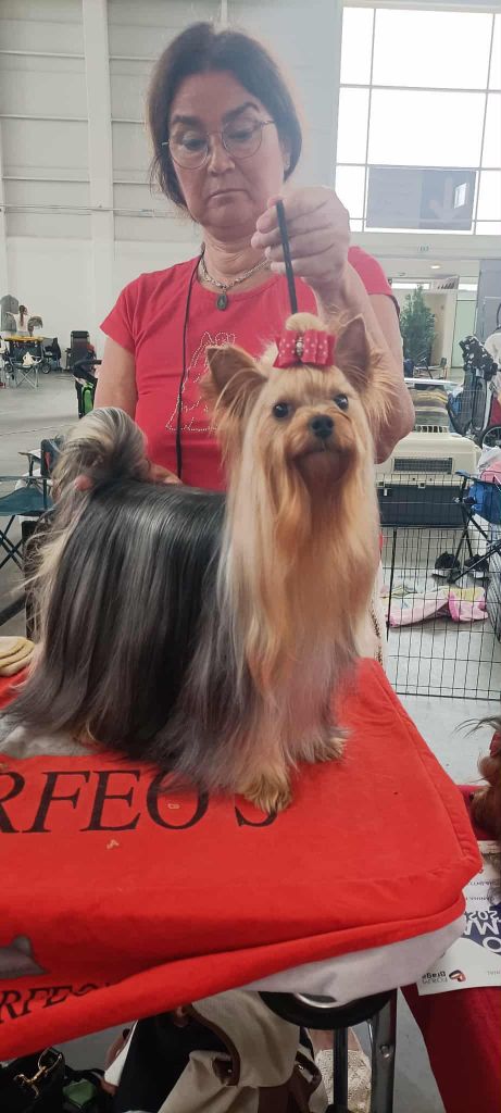 Publication : Horfeo's