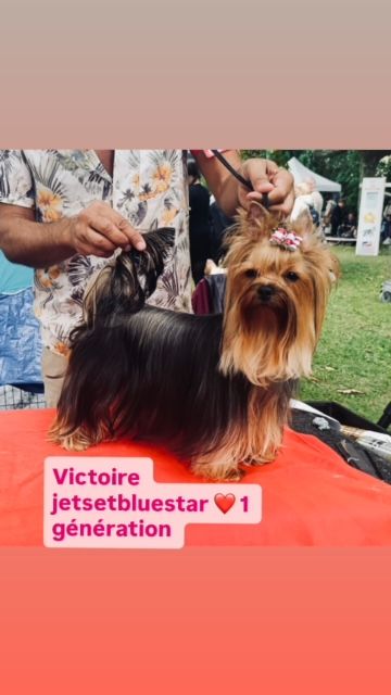 Publication : Jet Set's Blue Star