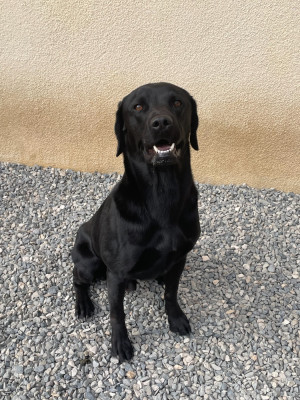 Salto des hauts de campardon