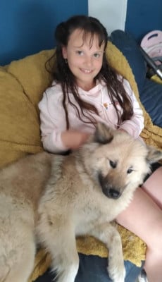 Étalon Eurasier - CH. Tasca de la source de l ' aa (Sans Affixe)