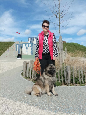 Étalon Eurasier - tiana du mistral normand Des Geants Du Sault