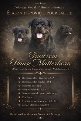 Étalon Rottweiler - Trust Vom Hause Matterhorn