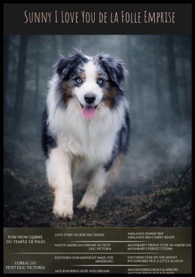 image de Sunny i love you