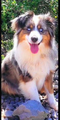 Teensy des merveilles d'ilona