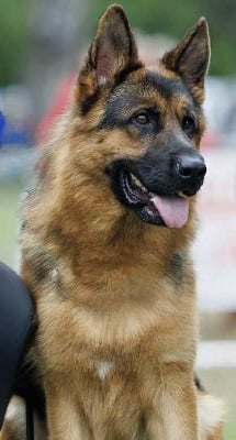 Hanuta aus der grimmwelt