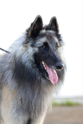 Usko Des Sources De L'Eaulne