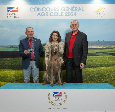 Ravel Des grandes maurières