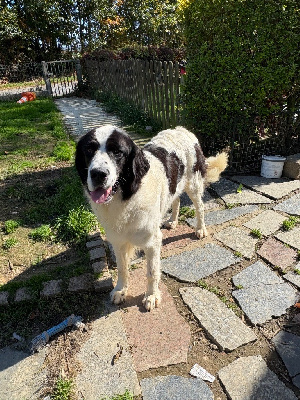 Tyxihame du domaine de Val Kurlande