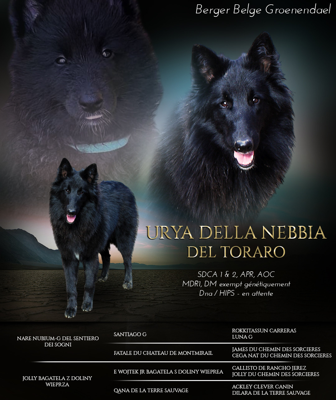 Publication : de Kertanhyys 