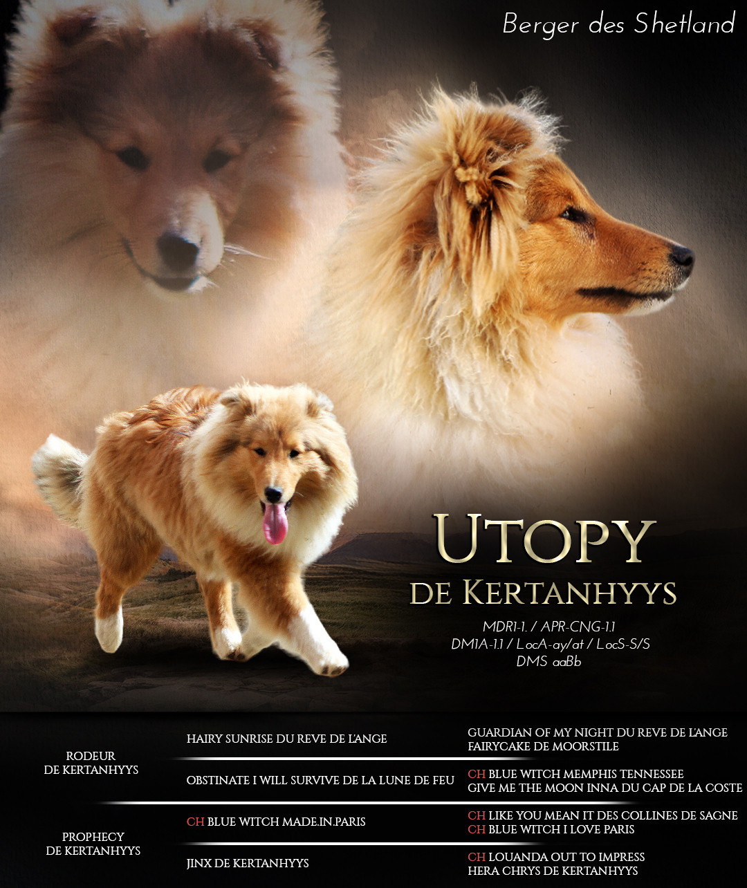 Publication : de Kertanhyys 