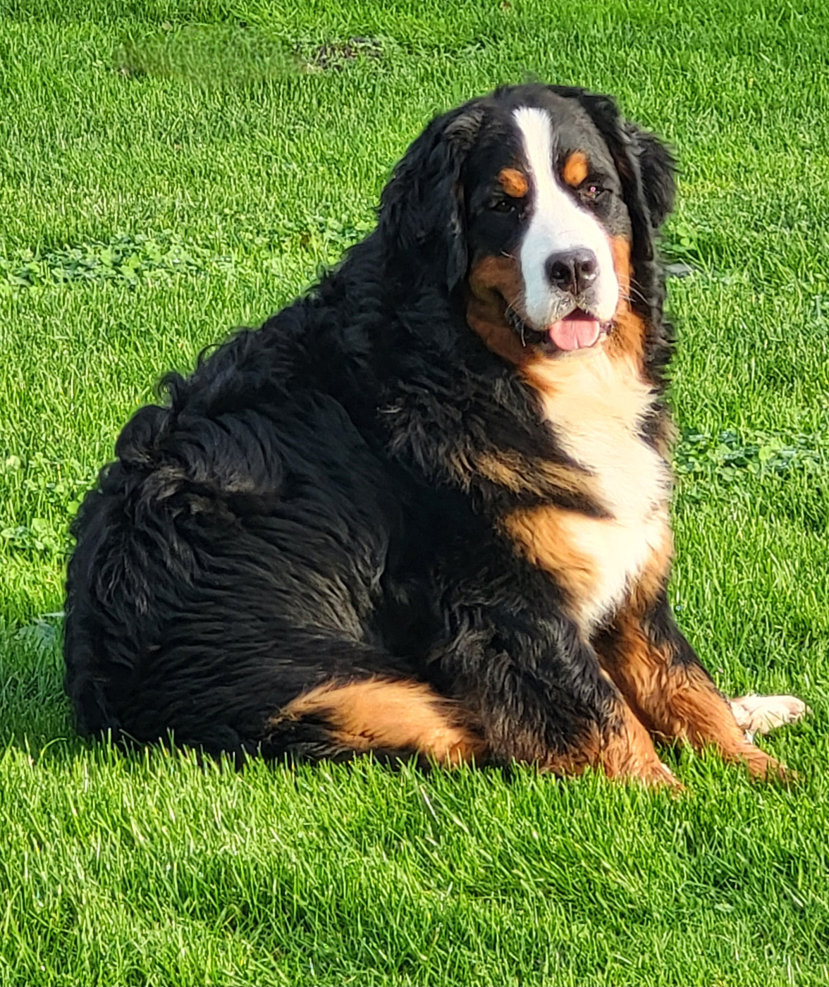 Publication : de l'empreinte de Jais 