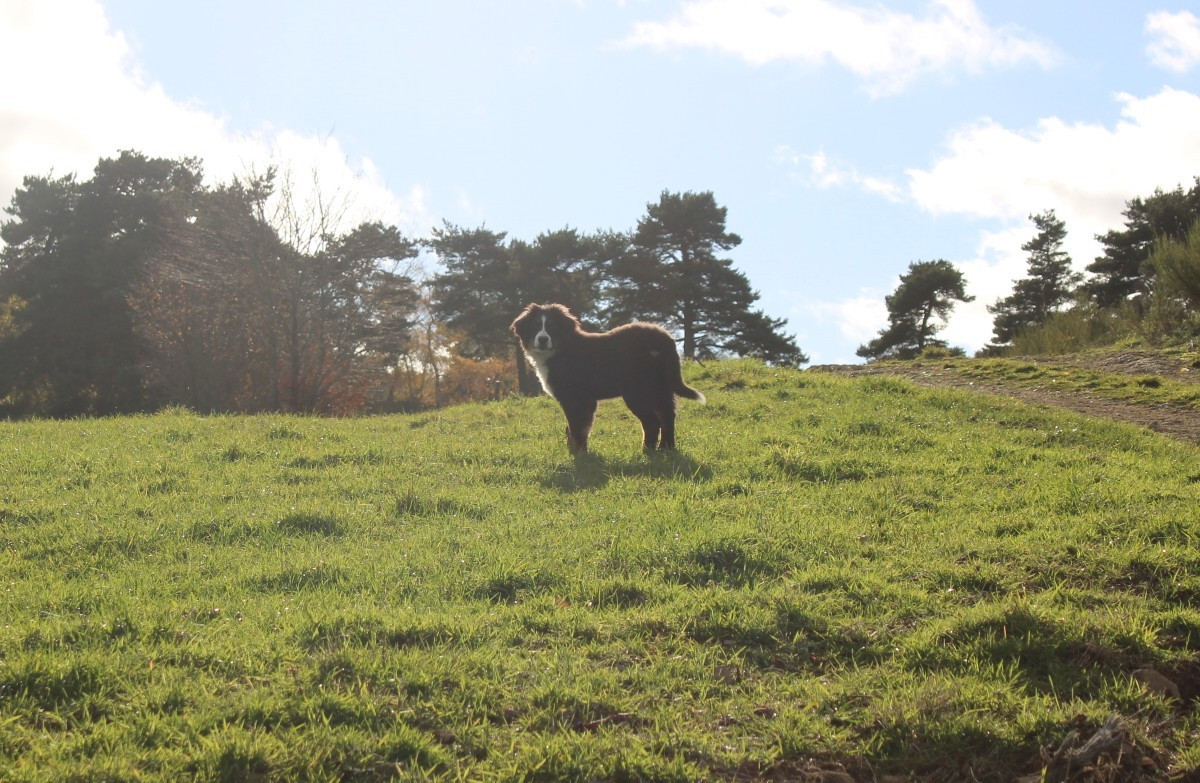 Publication : (Sans Affixe) Auteur : Luanne thiercy