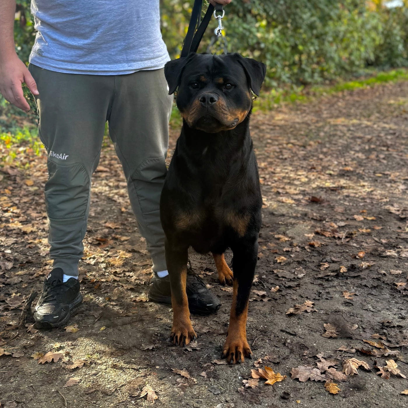 Publication : Des Flammes De La Nuit 