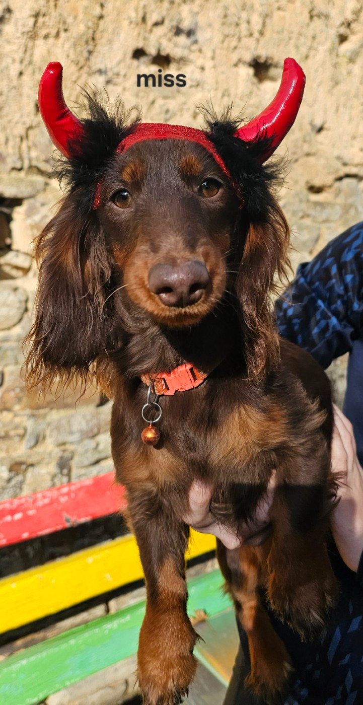 Publication : Le domaine de fabadel 