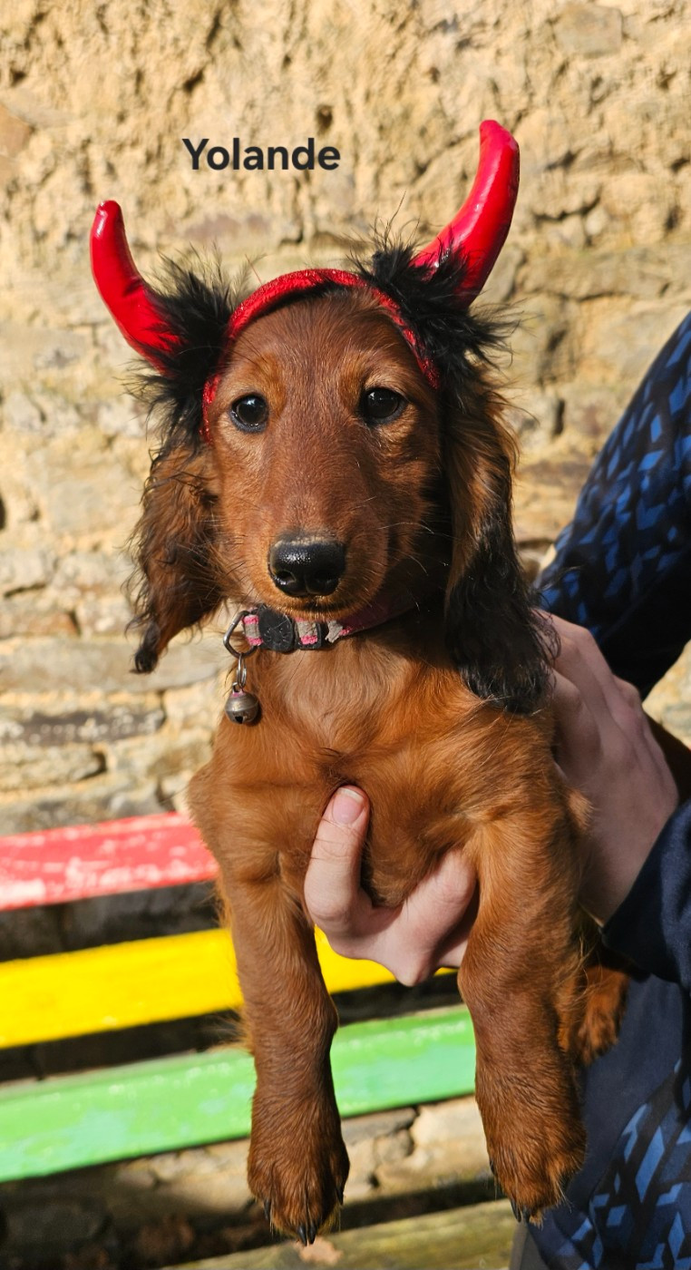 Publication : Le domaine de fabadel 