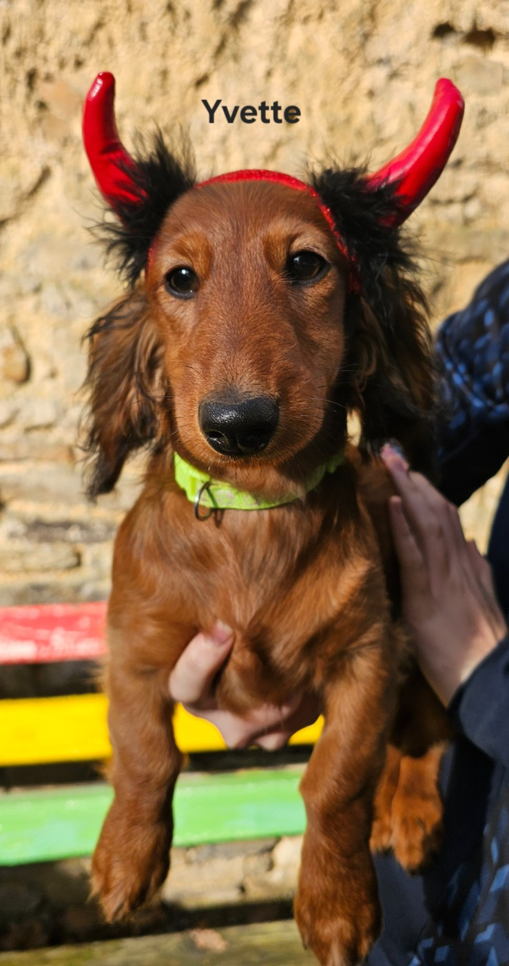 Publication : Le domaine de fabadel 