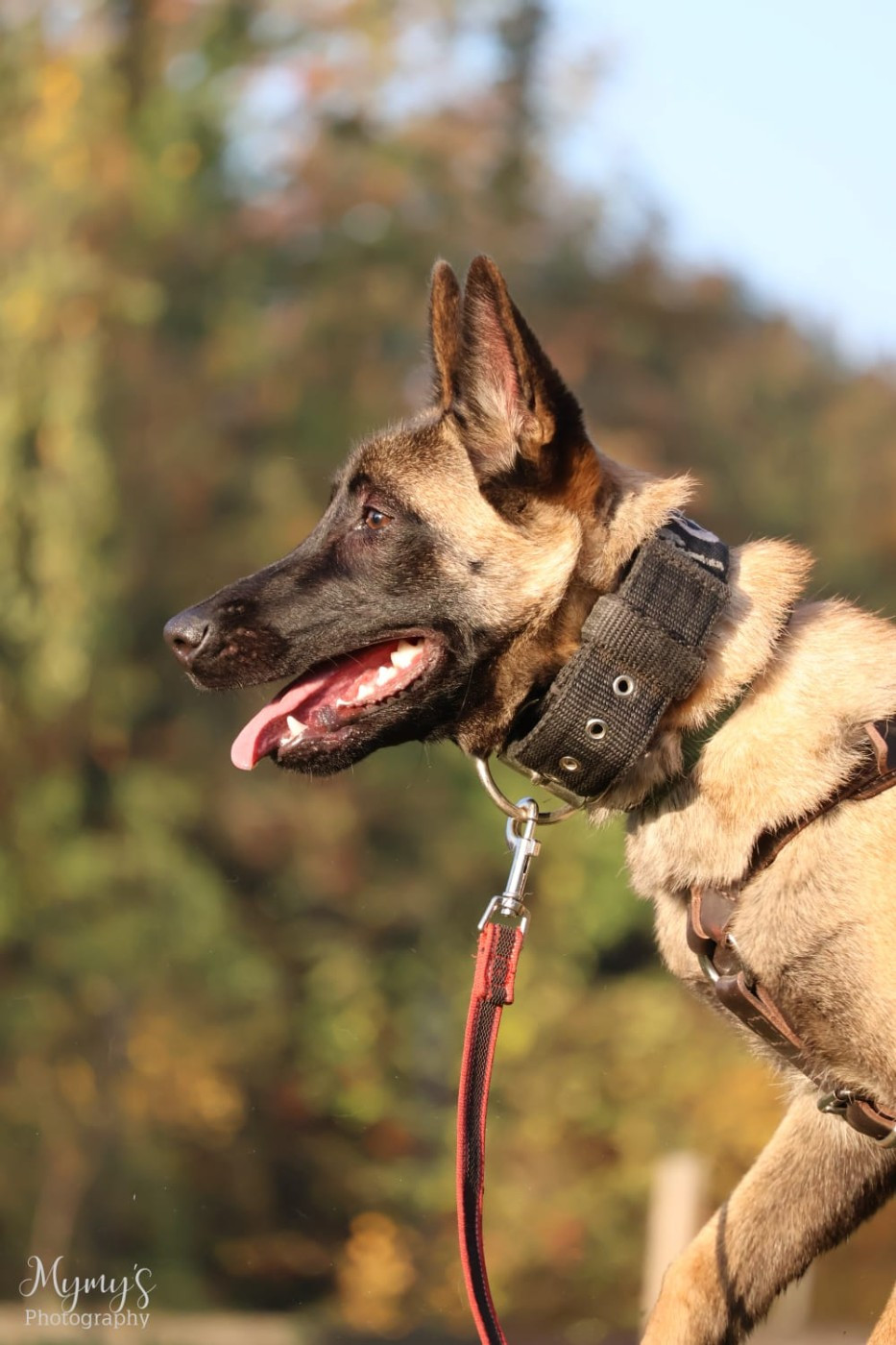 Publication : Des Crocs Du Pacot 