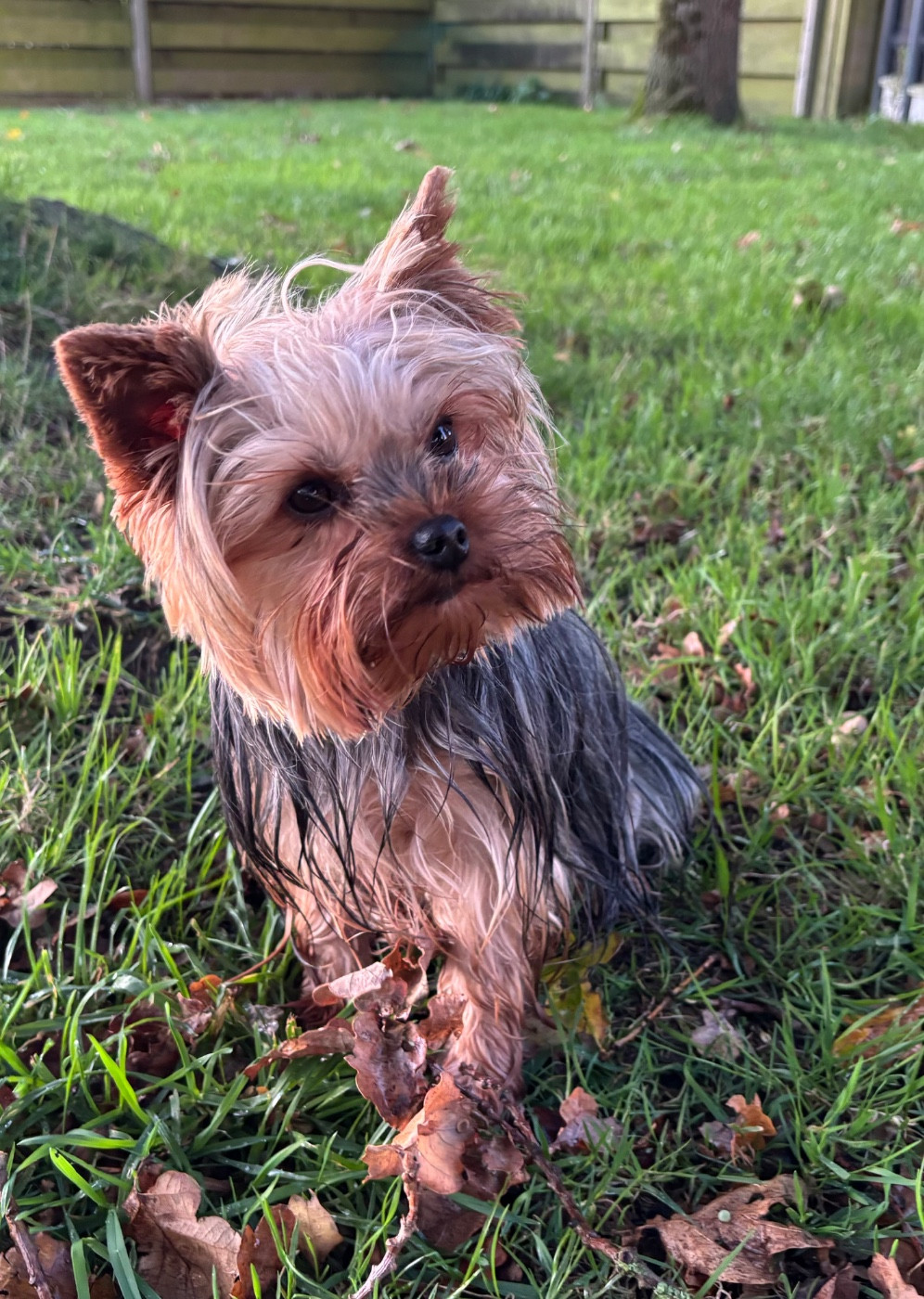 Publication : Des Vents D'Océan 