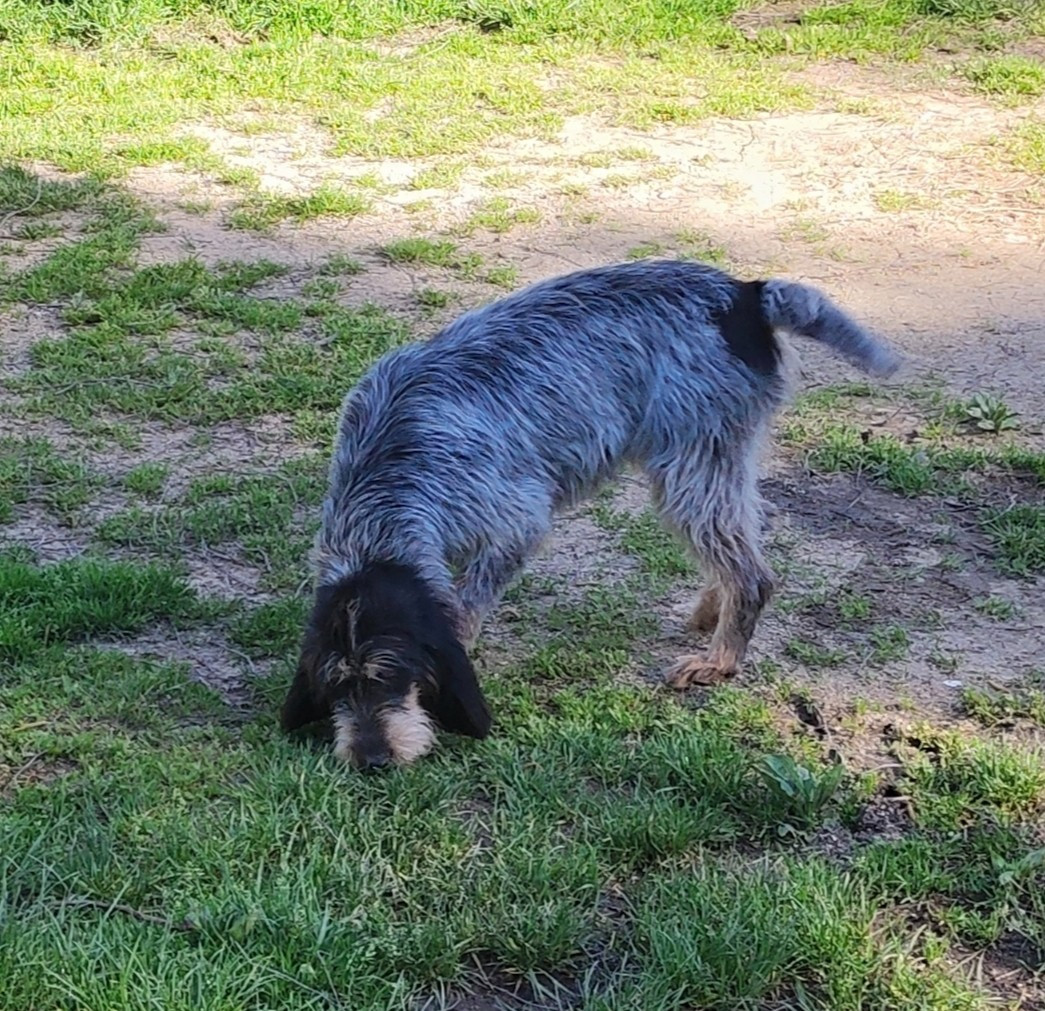 Publication : de la vallée de l'Arcomie 