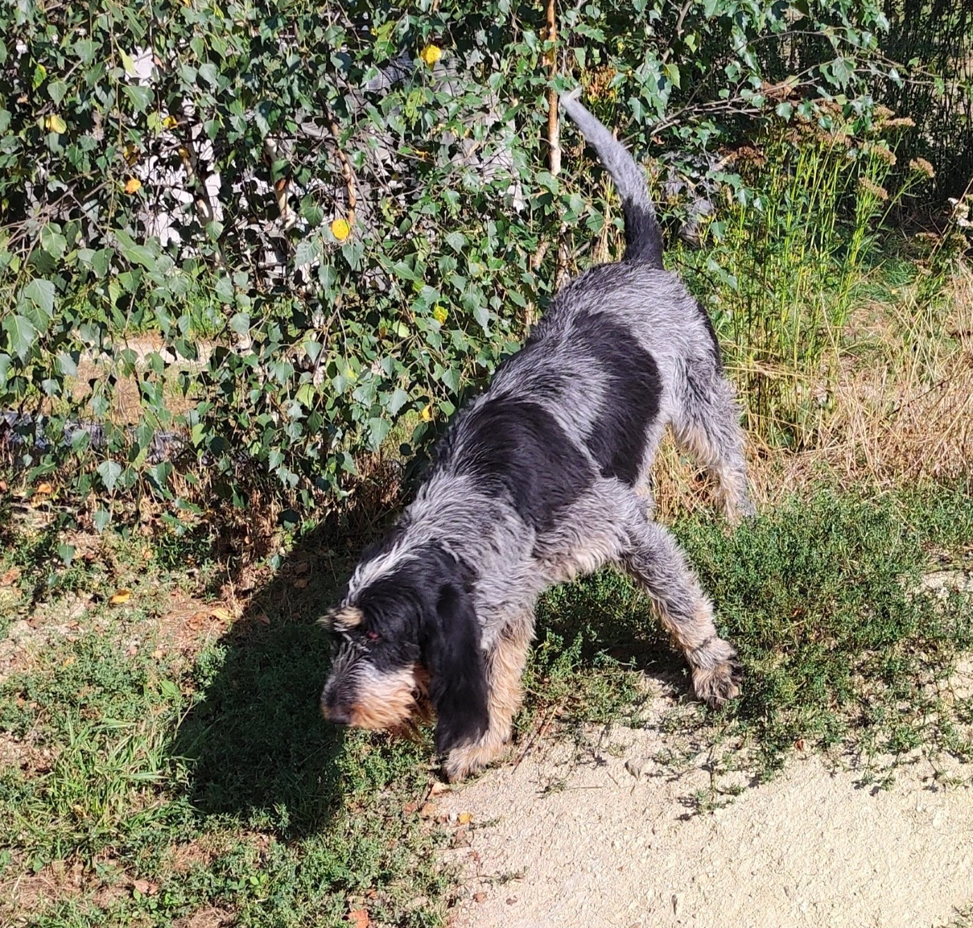 Publication : de la vallée de l'Arcomie