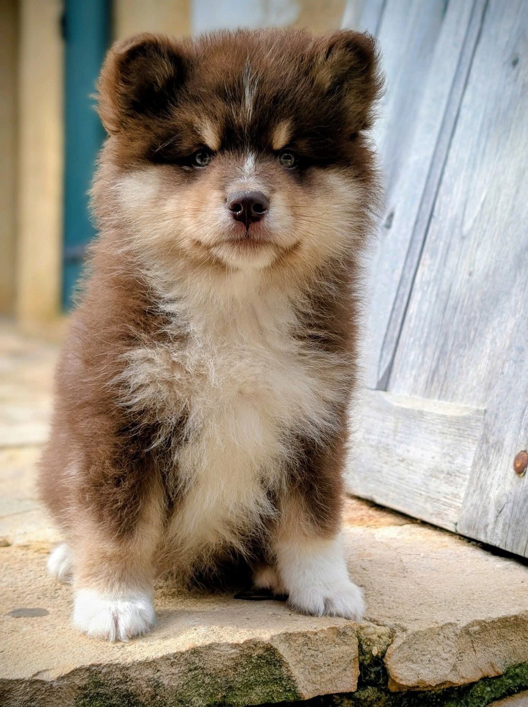 Publication : Du Temple Namasté De Benthéa 