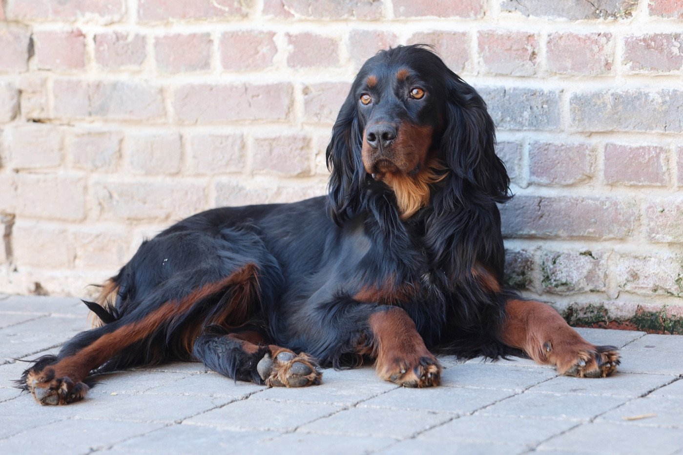 Publication : Du Domaine De Loumatpau 