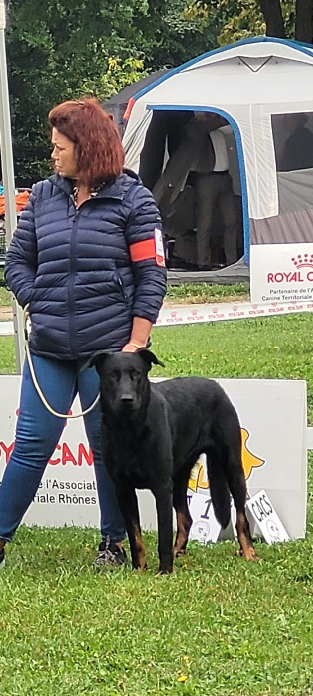 Publication : Des Beaumes Rouges 