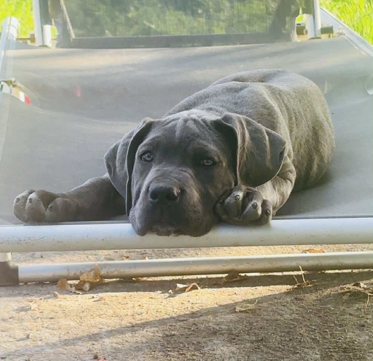 Publication : du Domaine Des Terres Noires Auteur : Eva Brochet