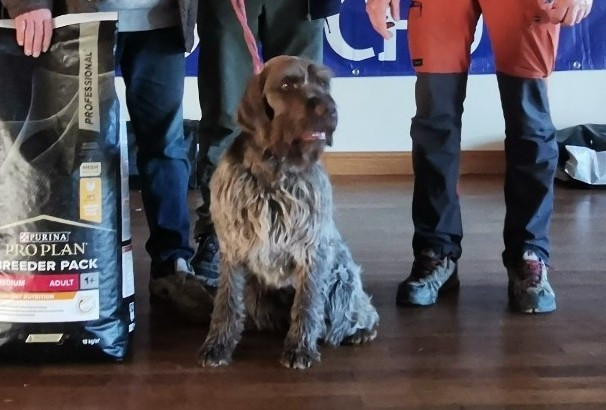 Publication : de la Bardelierre Auteur : Pressac