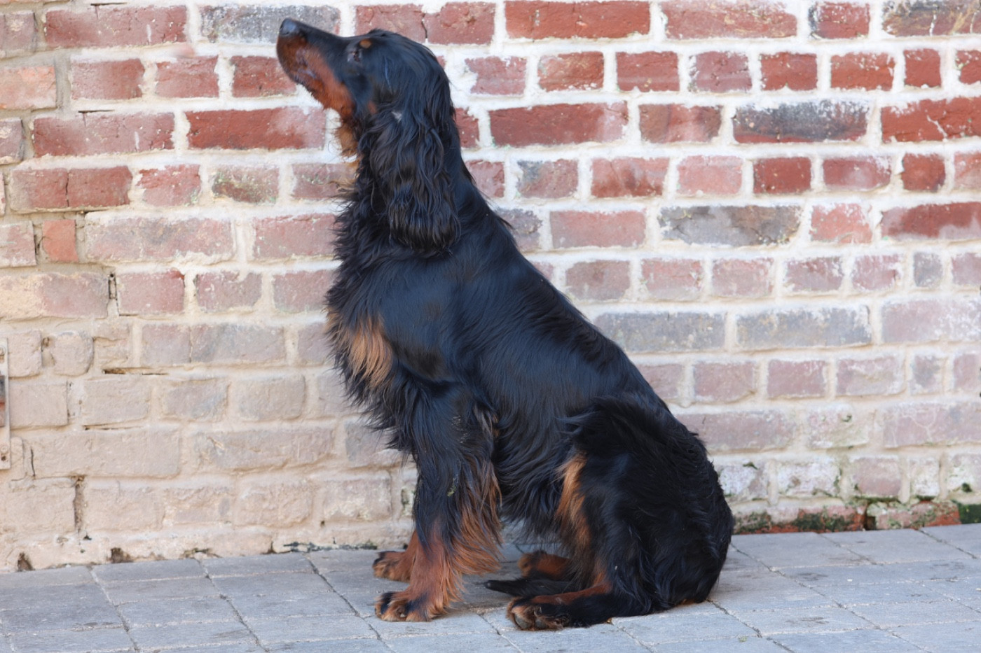 Publication : Du Domaine De Loumatpau 