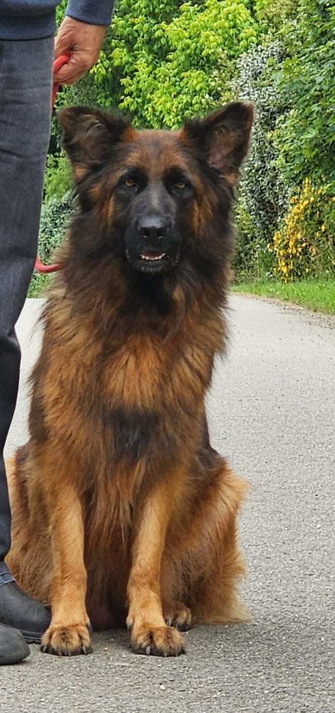 Publication : des Anges de la Claie 