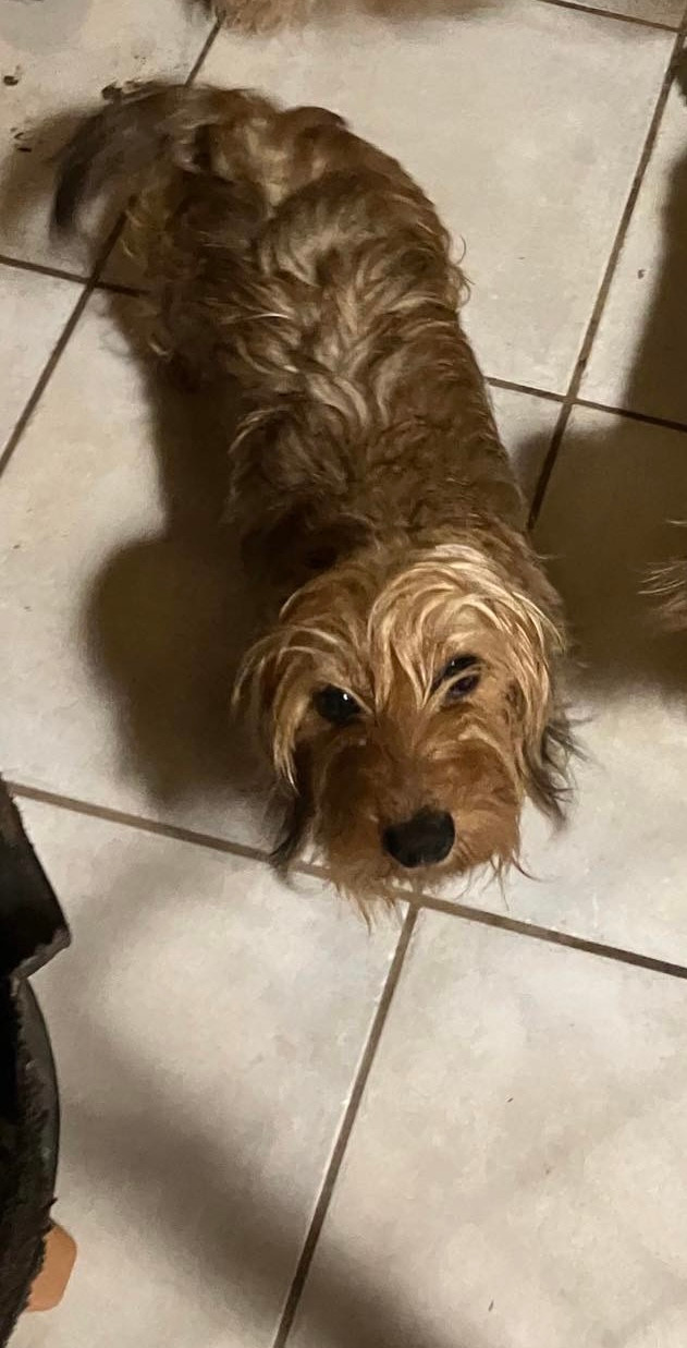 Publication : Du Domaine Brunemont 