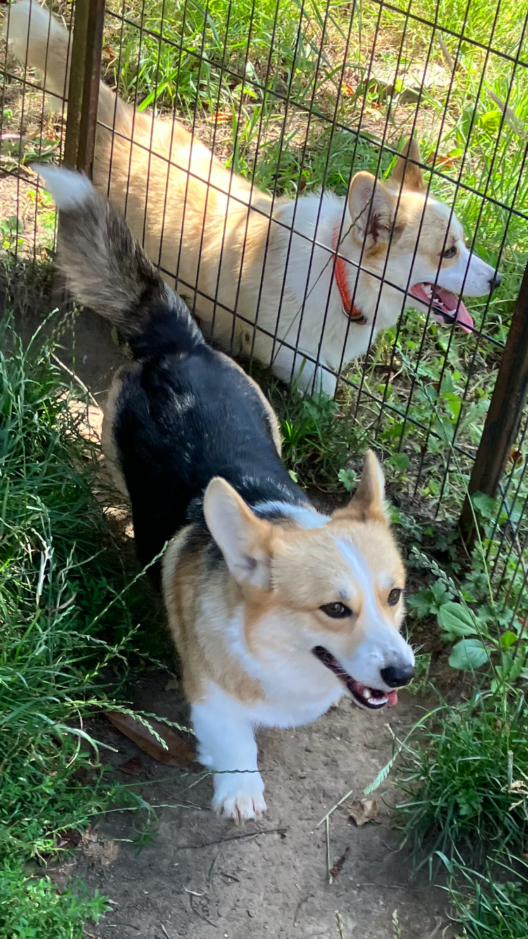 Publication : Du Domaine Brunemont 