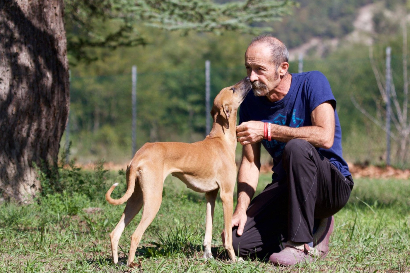 Madame garbi (Sans Affixe)