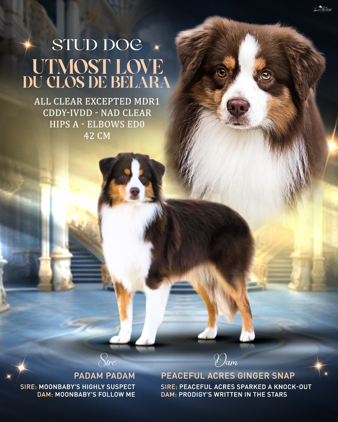 Publication : Du Clos De Belara 